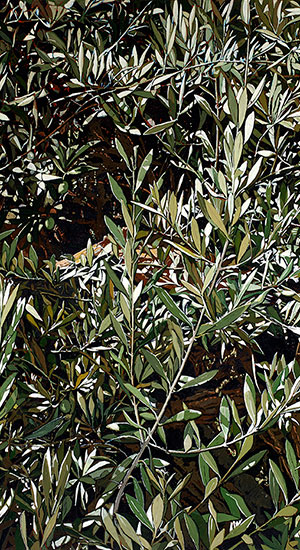 Dominus flevit op. 632 particolare